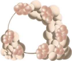 Circle Frame Balloon Garland